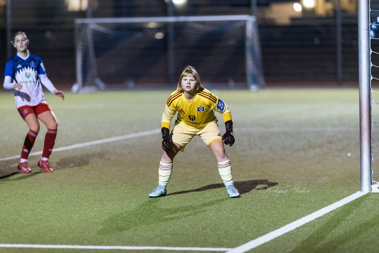 Bild 172 - F SC Alstertal-Langenhorn - Hamburger SV 3 : Ergebnis: 2:2